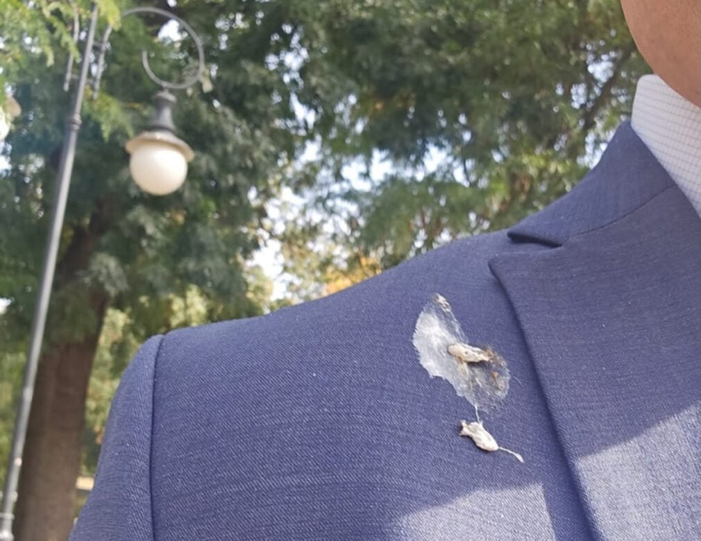 Semn bun pentru Guvernul Niculescu? O pasăre și-a făcut nevoile pe Csoma Botond înaintea întâlnirii cu premierul desemnat