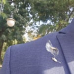 Csoma Botond, liderul deputaților UDMR, în contextul negocierilor pentru formarea Guvernului Niculescu