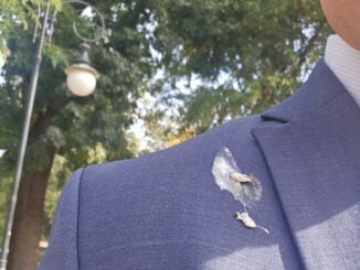 Semn bun pentru Guvernul Niculescu? Csoma Botond, „găinat” de o pasăre înainte de întâlnirea cu premierul desemnat
