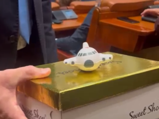 VIDEO Cutii de pantofi și avioane de jucărie. Atacurile politice dinaintea învestiturii Guvernului Niculescu