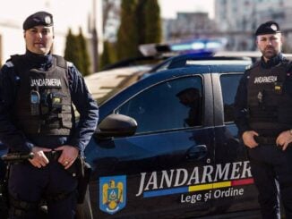 Canabis restituit de DIICOT în baza unei decizii judecătorești, confiscat din nou de jandarmi după o oră