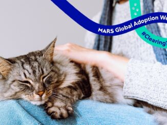 Mars lansează o platformă dedicată adopției animalelor de companie, în contextul unui nou studiu care arată ce îi împiedică pe oameni să adopte