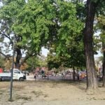 Belgrad, Parcul Pionerilor, ecologizare