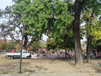 „Mirosul libertății”. Susținătorii Studenților au curățat Parcul Pionierilor din Belgrad