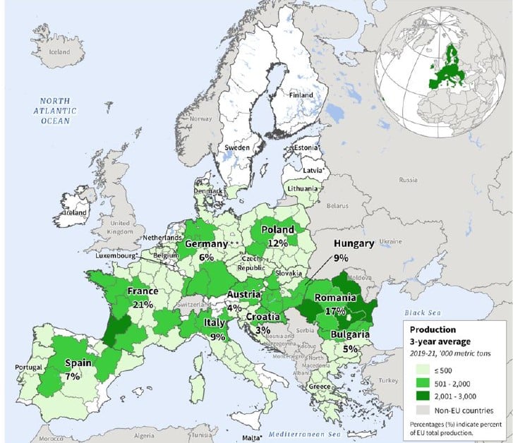 producție porumb Europa, 2026